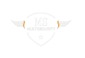 Multi Security logo wit